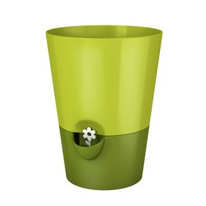 image-9c5482c49d674098b10bd955f376d811