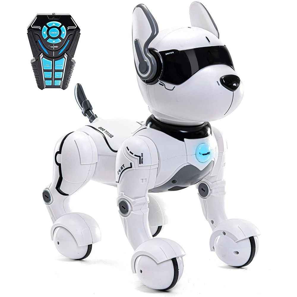 Remote control best sale robot order