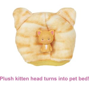 image-a548b10c6c6d46c187a158d81581cfe5