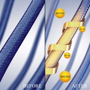 image-b37255a821d94997bd1b07c2aa502f77 image-b37255a821d94997bd1b07c2aa502f77