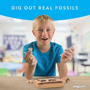 Kit Livro de Dinossauro e de Fóssil de Dente de Dinossauro para Escavar,  National Geographic - Dular