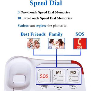 image-acbb4cd1d3674501817e87c989fc3250