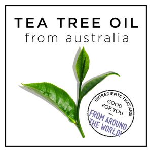 image-fe24b2ee91f5449f9b0c90f48872251b image-fe24b2ee91f5449f9b0c90f48872251b