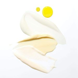 image-5da890949de34465b04475cc9912ef36 image-5da890949de34465b04475cc9912ef36