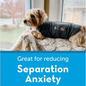 image-70f8069035364a60a3f4abe9af586c3b image-70f8069035364a60a3f4abe9af586c3b