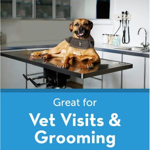 image-d8e4b6144adb4310a6ccf86e27154057 image-d8e4b6144adb4310a6ccf86e27154057