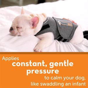 image-c964c017ed5c4e22aa91c9b977522322 image-c964c017ed5c4e22aa91c9b977522322