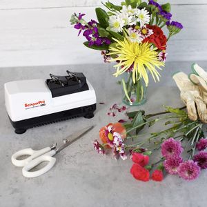 image-73e057974ddb46efbd8ce670253d2d17 image-73e057974ddb46efbd8ce670253d2d17