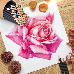 image-e5d0c75dc0f742e1a22a2beaf6f15b30 image-e5d0c75dc0f742e1a22a2beaf6f15b30