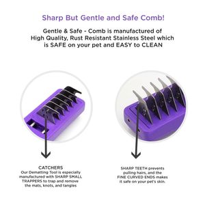 image-d20dbd52935a432e80e4c53e9d9265a3 image-d20dbd52935a432e80e4c53e9d9265a3