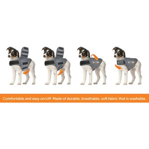 image-c58c1237d7c14353996f28068b3299a6 image-c58c1237d7c14353996f28068b3299a6