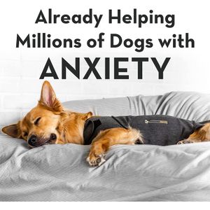 image-3f224bbf4d49425fb4222e91521e5eb7 image-3f224bbf4d49425fb4222e91521e5eb7