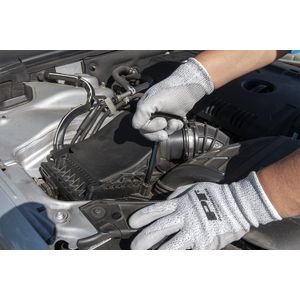 image-d25ab3055ef04a5298d2fb550597c816