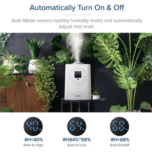 image-40721aafec4f44608375cbb1270eabdc image-40721aafec4f44608375cbb1270eabdc