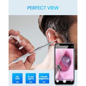 image-cb46486a11fa430ba464317648351874 image-cb46486a11fa430ba464317648351874