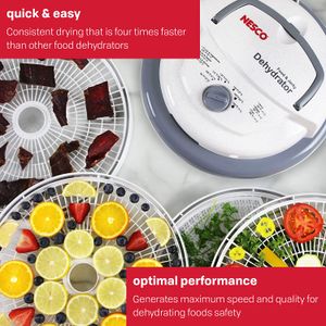 image-13116fcbcab541c6984428cff305c8e8 image-13116fcbcab541c6984428cff305c8e8