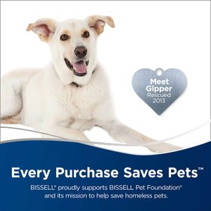 image-2d01df89edb34fa687a26b59f3811167 image-2d01df89edb34fa687a26b59f3811167