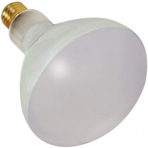 image-e88ba27948da44ee82da516b3e66b29a image-e88ba27948da44ee82da516b3e66b29a