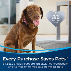 image-20b01ba06ffc4d668149d31553e0014a image-20b01ba06ffc4d668149d31553e0014a