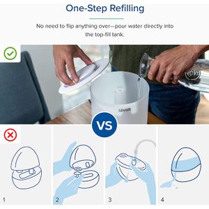 image-a621241c14424971b20a1032c504325e image-a621241c14424971b20a1032c504325e