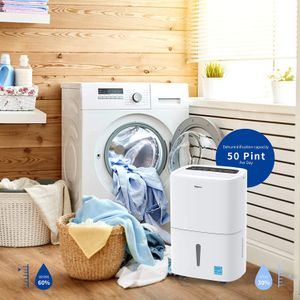 image-888b832616e240768fcc460abf93ea92 image-888b832616e240768fcc460abf93ea92