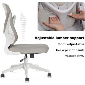 Ergonomic Office Chair Computer Desk Chairs Mesh Home Office Desk Chairs  with Lumbar Support 3D Adjustable Armrests - Dular
