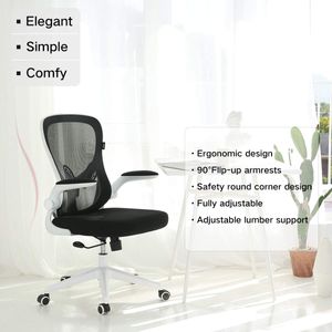 Ergonomic Office Chair Computer Desk Chairs Mesh Home Office Desk Chairs  with Lumbar Support 3D Adjustable Armrests - Dular