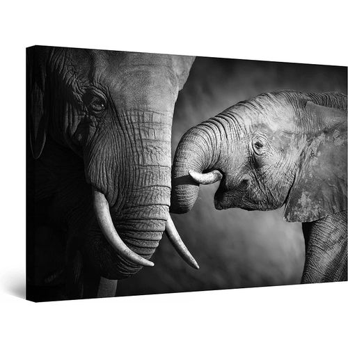 image-fe8ae4004d8c44a18cb7006fda150786 image-fe8ae4004d8c44a18cb7006fda150786