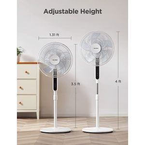 image-f8bcd0a001504474876618b5a22f61c1 image-f8bcd0a001504474876618b5a22f61c1