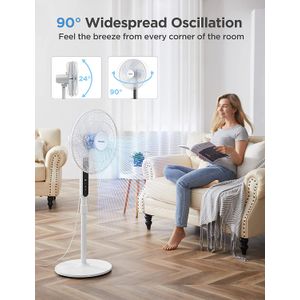 image-4bd3dbb2fa3e4ed28dcf015f11fde589 image-4bd3dbb2fa3e4ed28dcf015f11fde589