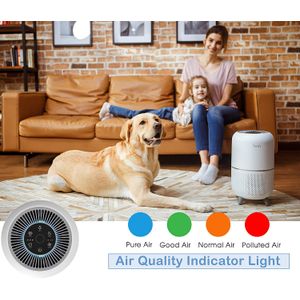 image-8f9ded28d2954c6ea806f740283d7484 image-8f9ded28d2954c6ea806f740283d7484