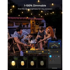 image-5bc766bc183f40e2bac5af84bcebebd9