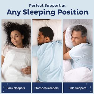 image-afd3ba473c3a4723ab097074289010c2 image-afd3ba473c3a4723ab097074289010c2