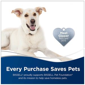 image-cb35eba84cab41489de2b02411aa064e image-cb35eba84cab41489de2b02411aa064e