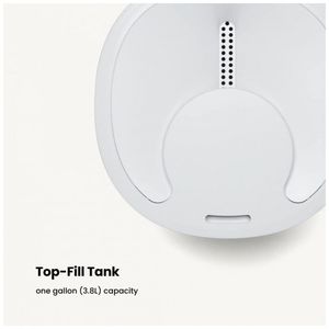 image-d4747db7a18e4b5f8e8013bf5a6c9aa2 image-d4747db7a18e4b5f8e8013bf5a6c9aa2