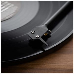 image-15212da954864f7cb3fa34e8a213704e