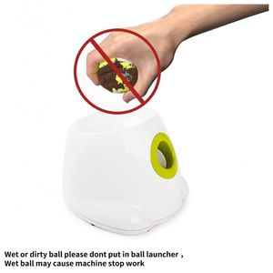 image-fe9cbcad3f494c2a9901aacfe42dfca0