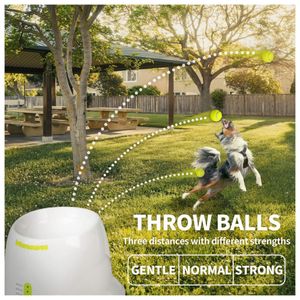 image-1752af5556cb4684a09179720c98ea23