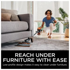 image-15f850f7008346c29e1a23a89650161b image-15f850f7008346c29e1a23a89650161b