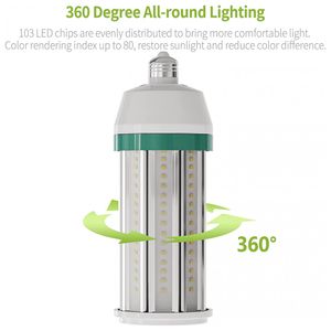 image-999ccd7d3b5445dab5fb1a41758250fa