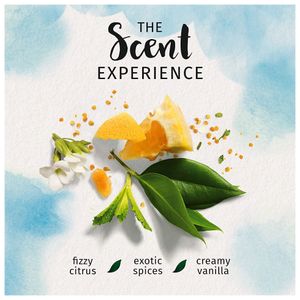 image-d459a66183144d6db1960f6b8ca7c62b image-d459a66183144d6db1960f6b8ca7c62b