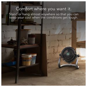 image-ed6086e66062478e874173203110246c image-ed6086e66062478e874173203110246c