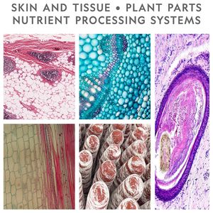 image-e71cd8cd80d04d7a90ce0bec783692b9 image-e71cd8cd80d04d7a90ce0bec783692b9