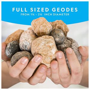 image-6e523c38e0d94e4a86188a7b9268f669