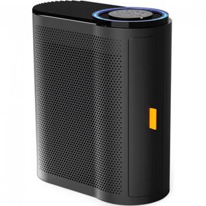 image-e806833f2f5d4492bfda99dcc774bfe5