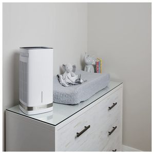 image-0109bea11ee8487595e198c735ef56f2 image-0109bea11ee8487595e198c735ef56f2