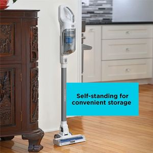 image-574688579f7647cabae47a9dbbb7e335 image-574688579f7647cabae47a9dbbb7e335