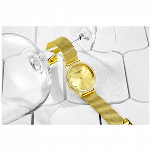 image-1701006ddc9e444cb6d1e459fd496bb7 image-1701006ddc9e444cb6d1e459fd496bb7