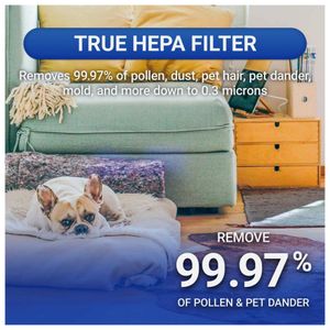 image-3667d7dd3dea46deb797f576a1c18e18