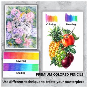 image-9a3f16bb47e94da1a13fdd975e26a51d image-9a3f16bb47e94da1a13fdd975e26a51d